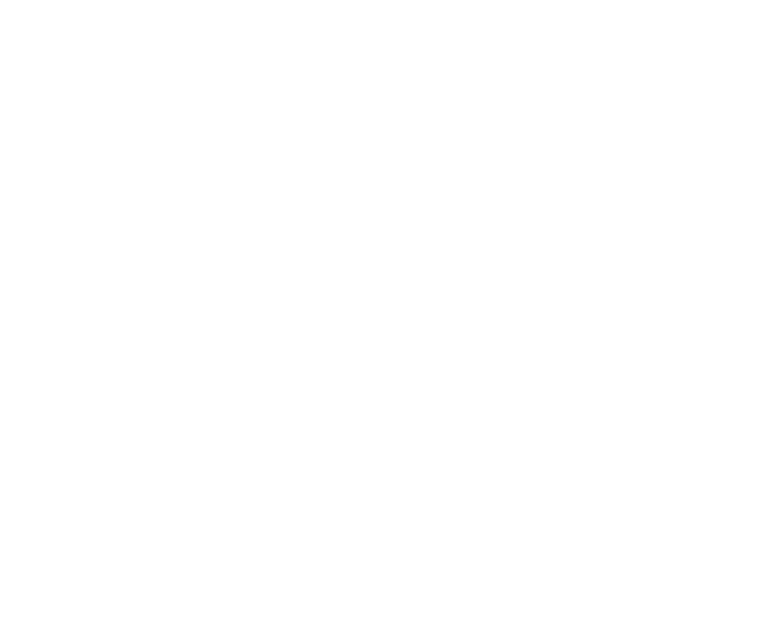 Barcelona Swimmers